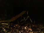DSC01017.JPG