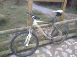 13022010396.jpg