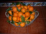 Capazo naranjas.jpg