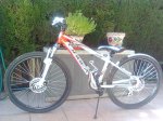 Imagen0333.jpg