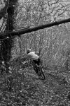 _MG_9475.jpg