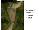 viewer[5].png