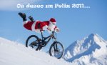Feliz 2011.jpg