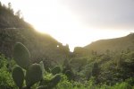 La Palma (95 de 137).jpg