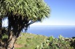 La Palma (24 de 137).jpg