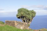 La Palma (108 de 137).jpg