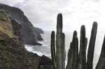La Palma (92 de 137).jpg