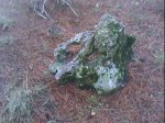 DSC00625.jpg