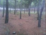 DSC00624.jpg