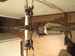 P1020105.JPG