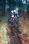 DSC_0262.jpg