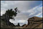 DSC_0034-vert.jpg