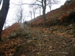 IMG_9823.JPG