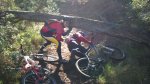 2011-01-02 Ruta Ses Pahises-San mateu (5).jpg