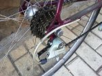 Foto0109.1.jpg