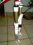 IMAG0320.jpg