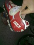 sidi spider II.JPG