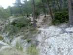 DSC01335.JPG