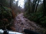 Foto0211.jpg
