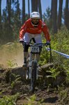 _DSC0543m.jpg