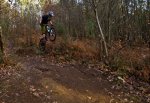 _MG_9621.jpg