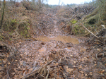RUTA DEL PAVO CABRON 08-01-11 013 GIF.gif