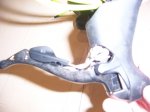 100_5920.JPG