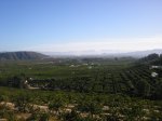 P1012820 [].JPG