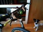 scale rc y ferrari 024 reducida.JPG
