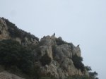 IMG_1306 Red..JPG