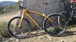NINER 045.jpg