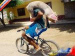 1bicicerdo.jpeg