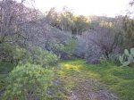 Ruta Santa BrigidaIMG_0342.jpeg