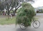 1bicicleta-01.jpg