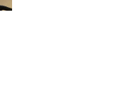 P1020458.gif