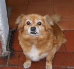 DSC000181-crop1.JPG