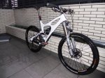 Ibis Jardin Ok2.JPG