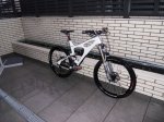 Ibis Jardin Ok1.JPG