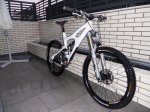 Ibis Jardin Ok3.JPG