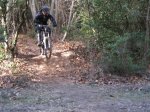 SALTO KIKU.JPG