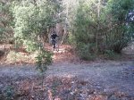 SALTO NOE.JPG