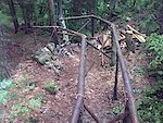 p1pb6021579.jpg