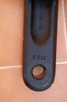 bielas 03.jpg