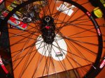 DSC08523.JPG