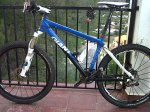 IMG01292-20101117-1711.jpg