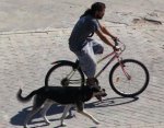 1biciclista.JPG