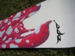 DSCN4639.JPG