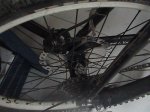DSC00239.JPG