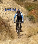 pelu.jpg