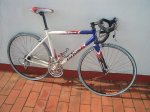 Copia (2) de TCR y otras 004.jpg